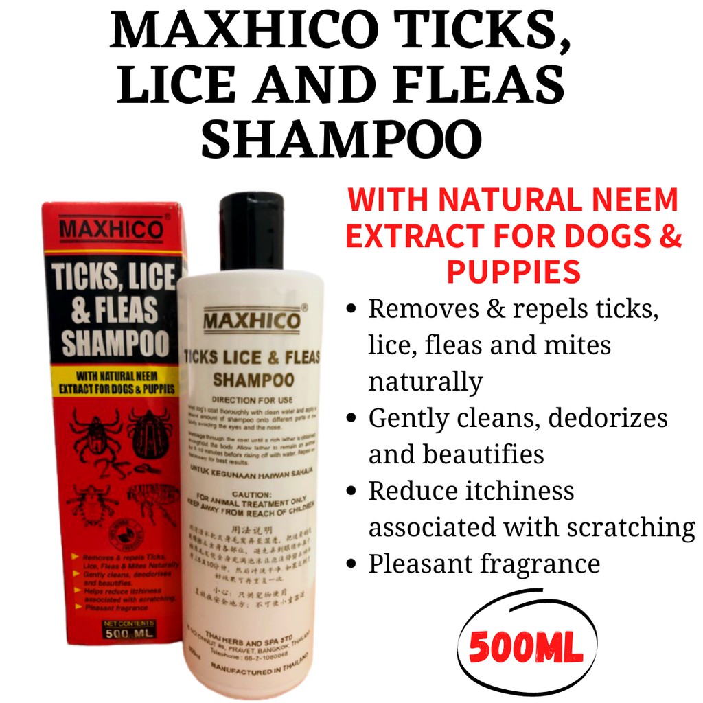 Dinos ticks lice & fleas clearance shampoo