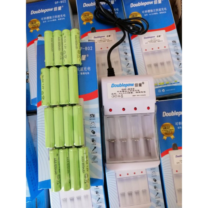 Doublepow plug rechargeable AA700mah AAA600mah Nicd Rechargeable