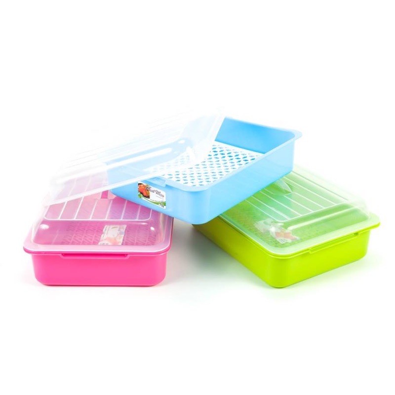 Bestware Plastic Serving Tray With Cover 1404   Food Container Storage 