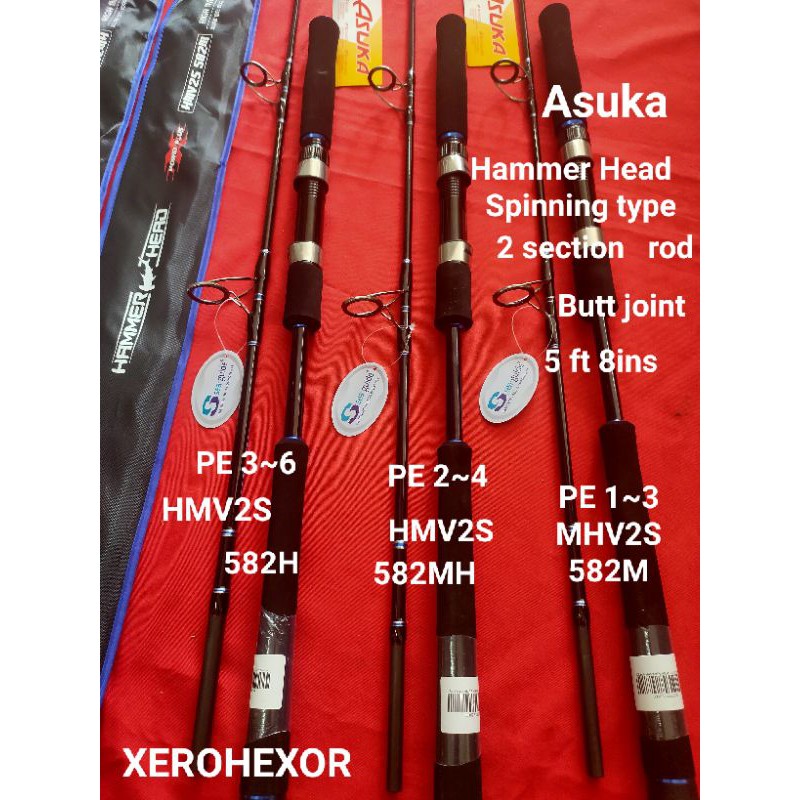 Asuka Hammer Head jigging / Bottom Fishing Rod