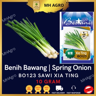 Bestani Benih Bawang Hijau Bo123 Xia Ting 10gram 3250seed 青葱种子 菜种子 