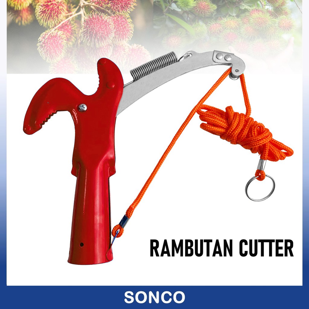 2 Way Rambutan Cutter Tree Pruner Trimmer Shear Rambutan Shear Gunting ...