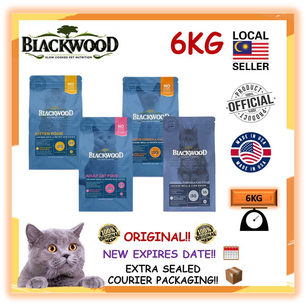 Blackwood kitten hot sale