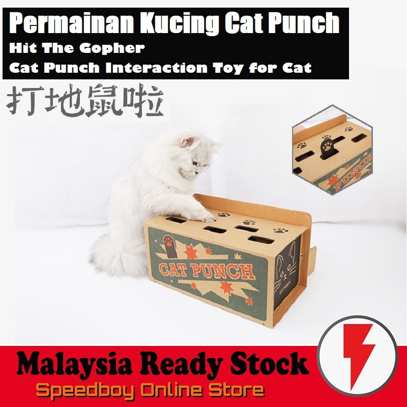 Cat best sale punch toy