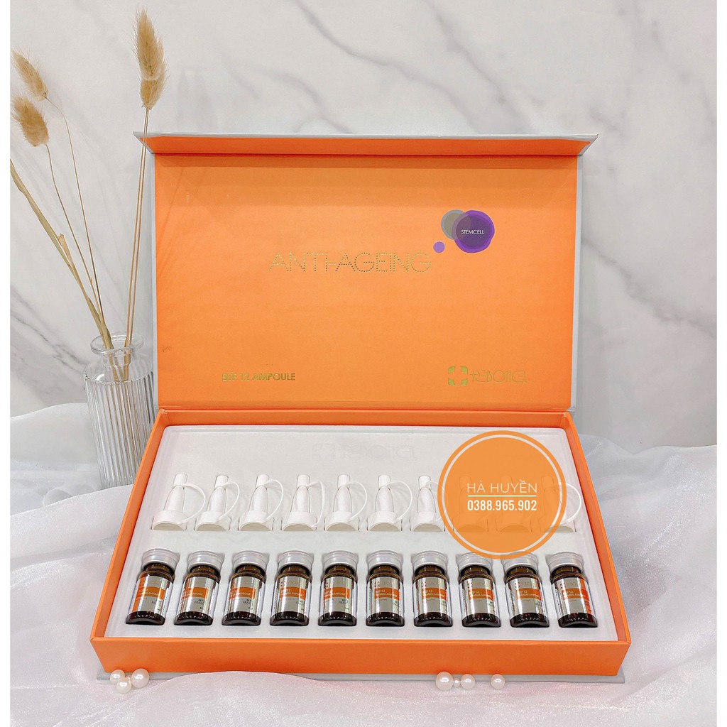 Reborncell BSF12 Pore-Smallening Stem Cells (Box Of 10 Vials) | Shopee ...