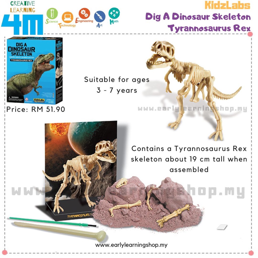 4M Kidz Labs Dig A Triceratops - Dinosaurier Skelett Ausgrabungsset