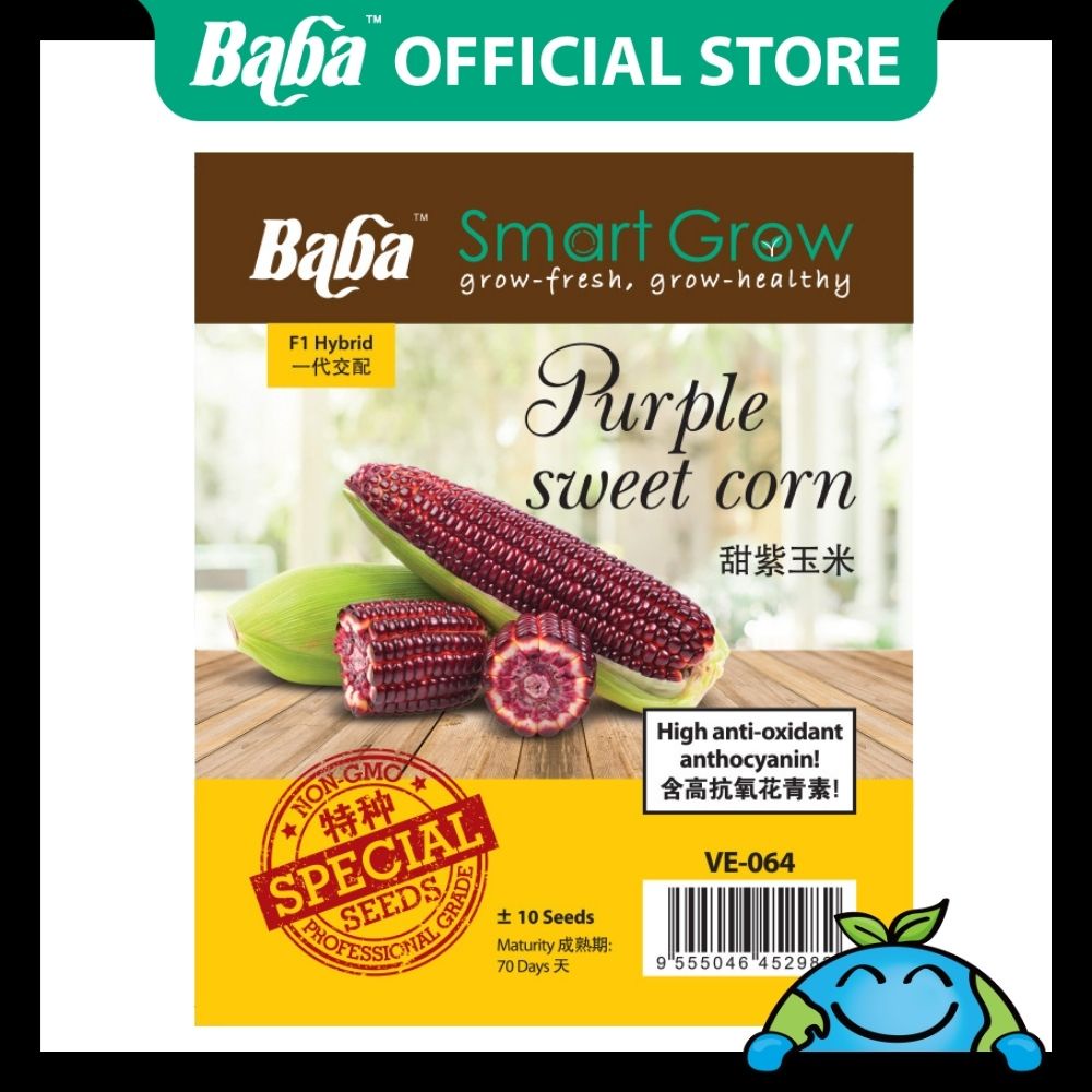 Baba VE-064 Smart Grow Purple Sweet Corn Seed - Vegetable Seed [10 ...