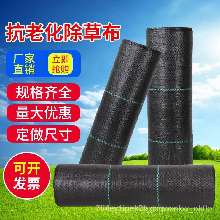 Malay special varietiesFruit Sapling Weed Barrier Strawberry Special