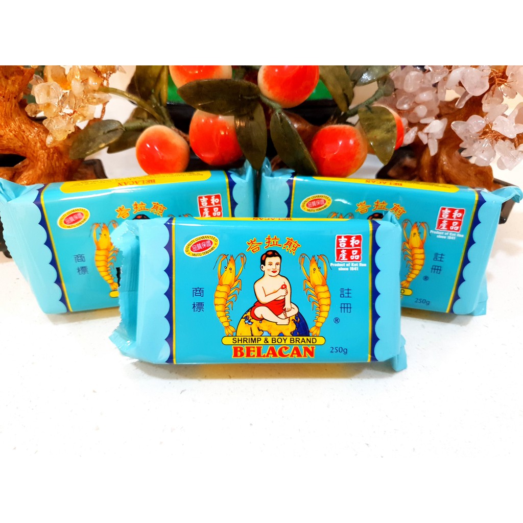 SHRIMP & BOY BRAND SHRIMP PASTE / BELACAN 250g/500g (Ket Hoe Trading ...