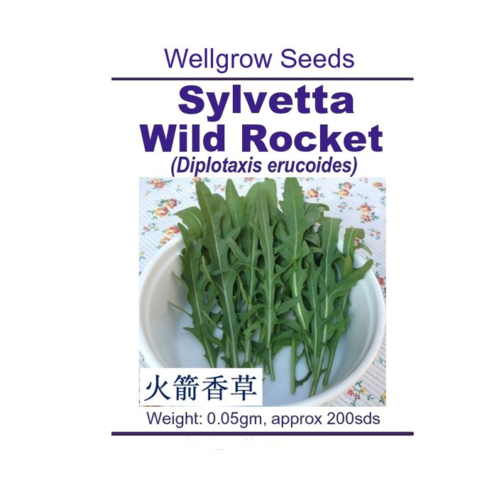Biji Benih | WHT Wellgrow Seeds Wild Rocket Sylvetta (Diplotaxis ...