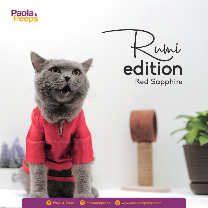 [ Baju Raya Kucing ] Rumi Edition - Red Sapphire | Shopee Malaysia