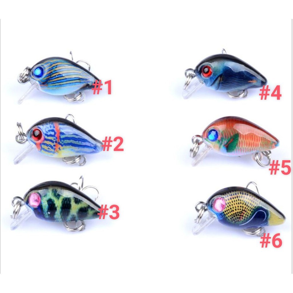 3d Thai Fly Lure - Specialized bait for catching tilapia, tilapia ...