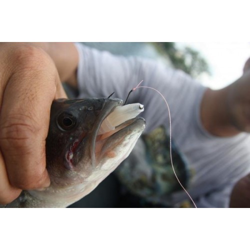 [Jingduo Lure] Jindo Soft Worm Insert Lead (1 Item) High Specific ...