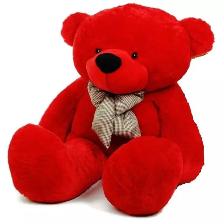 Teddy bear hot sale lazada