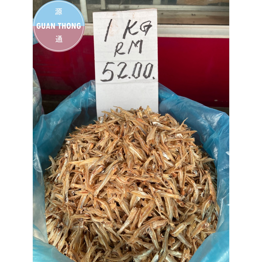 Guan Thong Ikan Bilis Kopek Silver Lining S Kuning | Shopee Malaysia