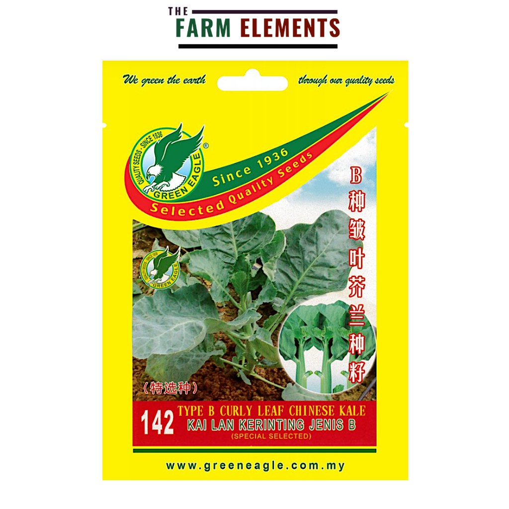 GE 142 Type B Curly Leaf Chinese Kale Seed/ Kai Lan Daun Kerinting ...