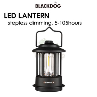 The Best Camping Lanterns of 2024