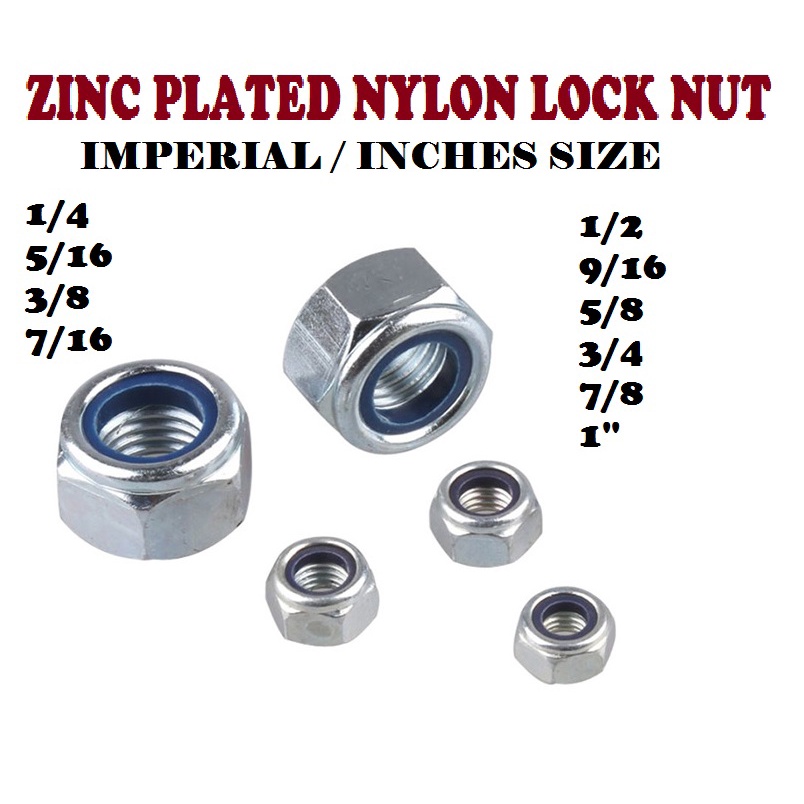 1 1 4 INCH NUT SIZE visual data 4