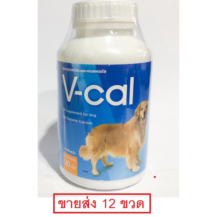 V Cal Calcium Dog Bone Healthy Teeth Structure (30 Tablets/Bottle