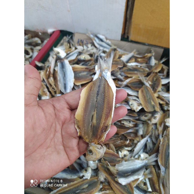 Ikan Masin Tamban Belah Ikan Kering Tamban Belah Shopee Malaysia