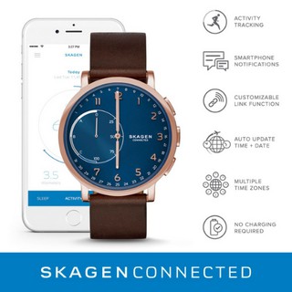 Skagen skt1103 online