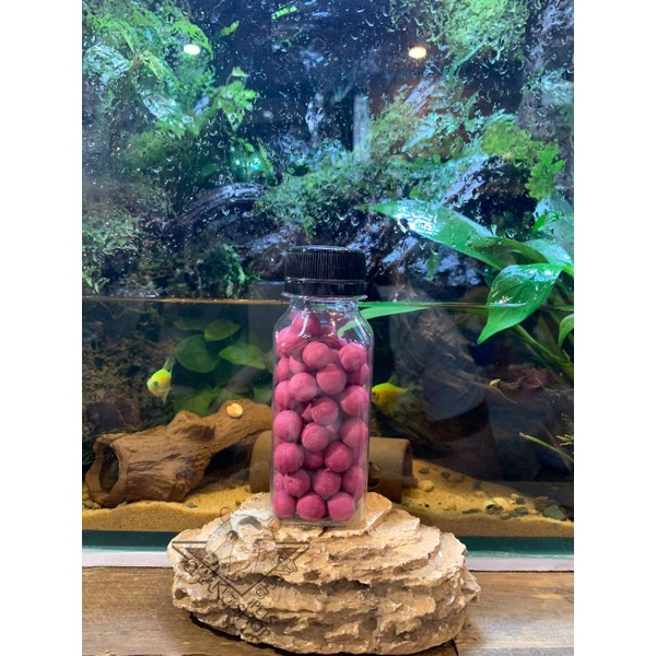 Sweet Potato Flavored Soy Germ Cake For hamster Shopee Malaysia