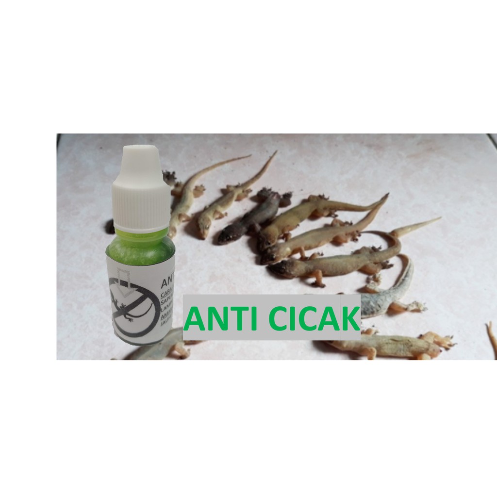 Ubat Cicak Racun Cicak Lizard Repellent Lizard Killer Mati Berkumpulan