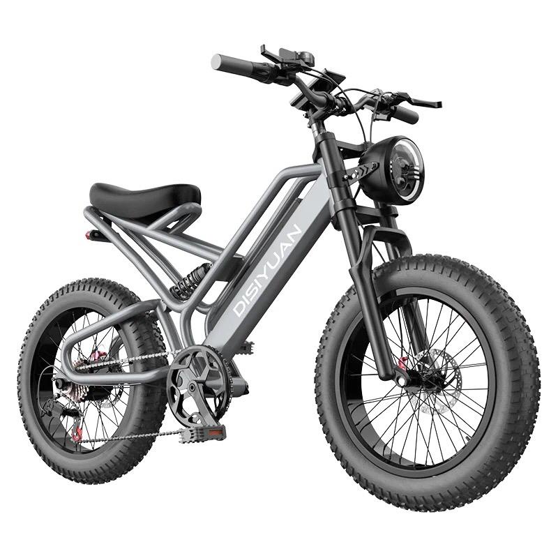 DISIYUAN 006 Ultra Rally Easy Rider Style Off Road Fun Electric Bike ...