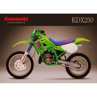 Kawasaki kdx deals 250 2t