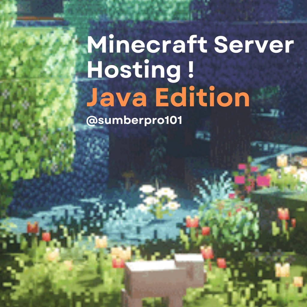 Minecraft Server hosting (24/7, Java Edition, any version, fast and ...