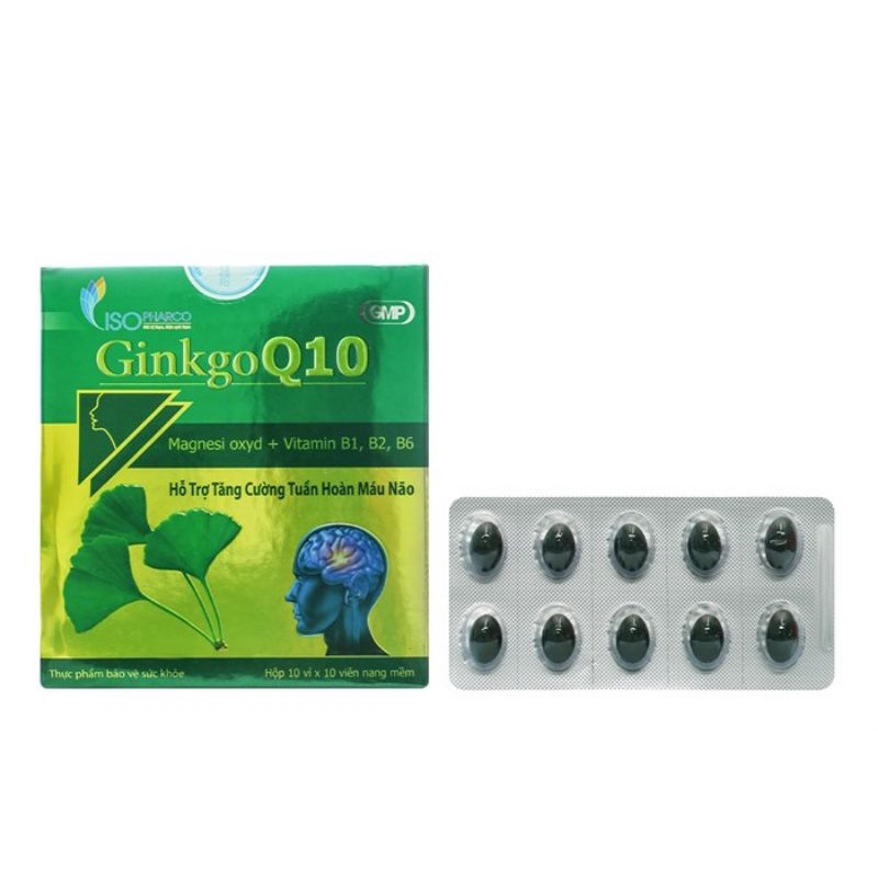 Ginkgo Biloba 120mg Brain Supplement Q10 (Box Of 10 Blisters) Shopee