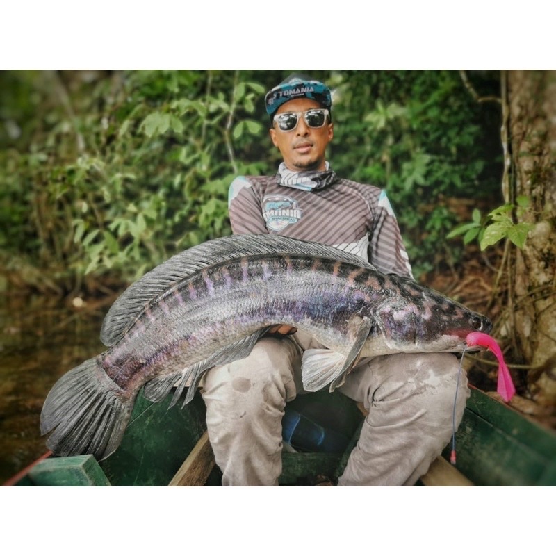 Tomania Jerk Minnow Size 20g 18cm Floating Soft Plastic Rubber Casting  Fishing Lure / Gewang Toman SP Pancing