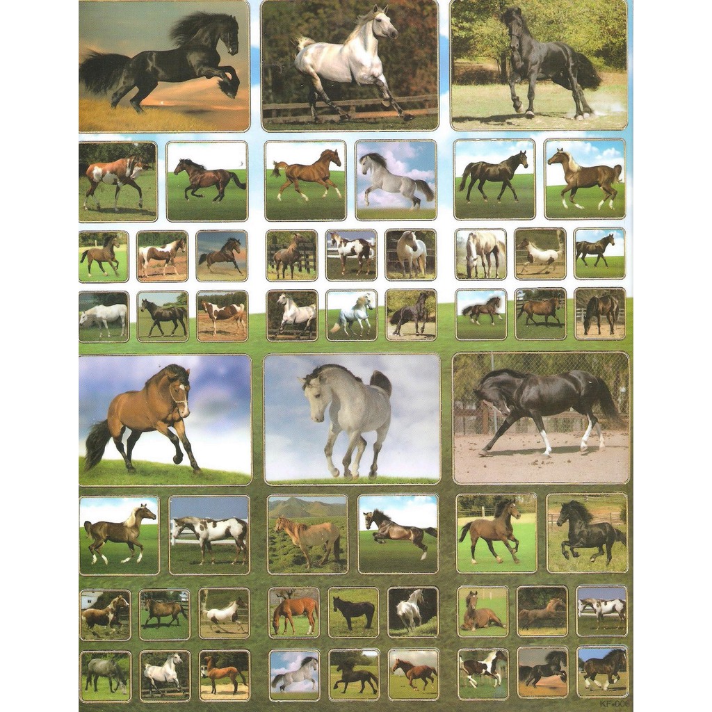 A4 Size Removeable Sticker Horse Horses Farm Zoo Wild Animal Stickers ...