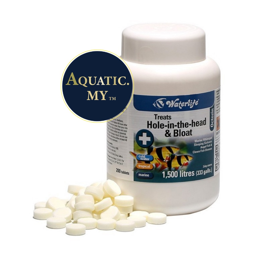 (ORIGINAL 1 bottle) Waterlife Octozin Treats Hole in the head & Bloat ...