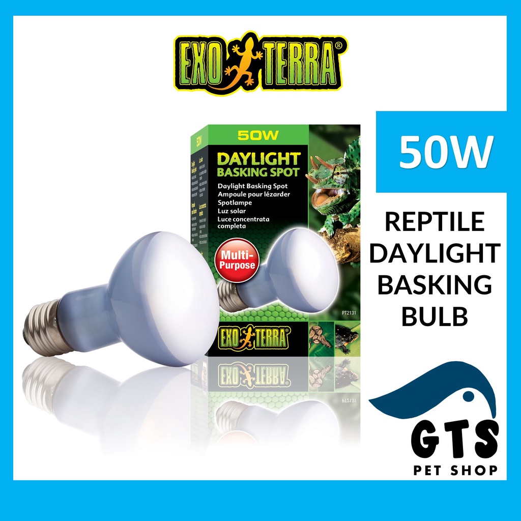 Exo Terra Daylight Basking Light Bulb Spot Lamp PT2131 50W Tropical Reptile Sun Glo Neodymium