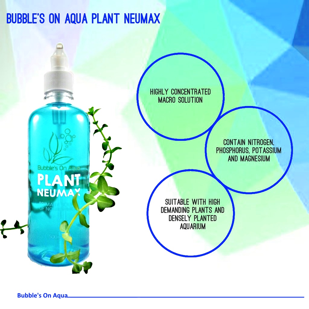 [KL READY STOCK] 100 ORIGINAL BUBBLE'S ON AQUA BOA NEUMAX Macro