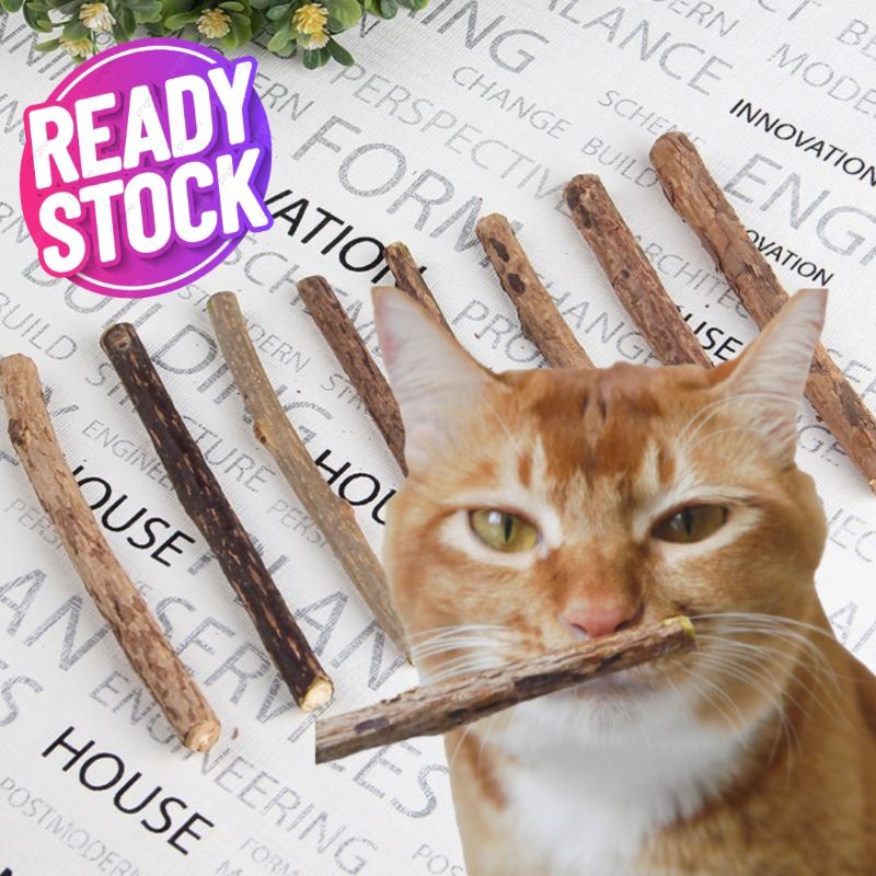 Cat Stick Treat Silvervine Matatabi Teeth Molar Cleaning Chew Stick Catswort Fruit Matatabi