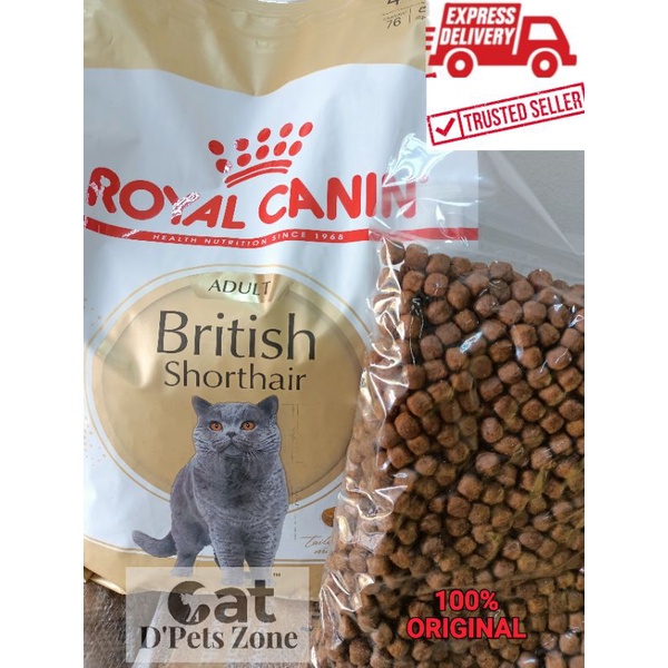 Royal canin best sale british shorthair junior