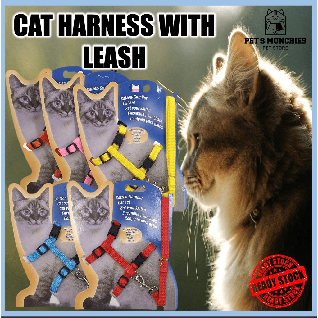 Cat harness pet outlet stock