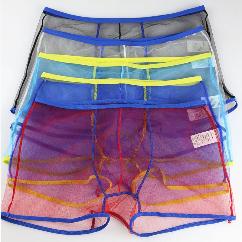 Buy Sexy Low Waist Mens Underwear Nylon Striped Transparent Boxer Briefs  Wh25 Online at desertcartEcuador