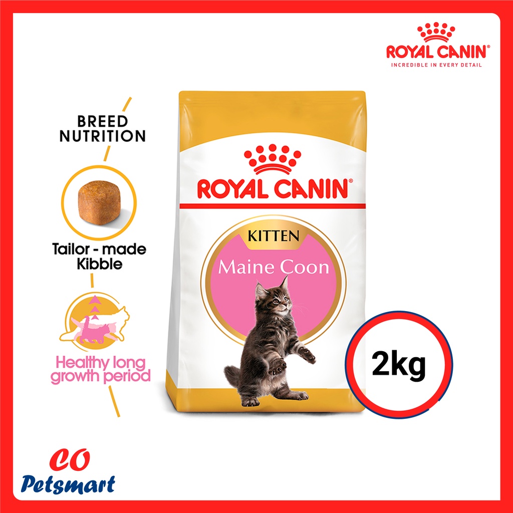 Royal Canin Cat Food Maine Coon Kitten 2kg Shopee Malaysia