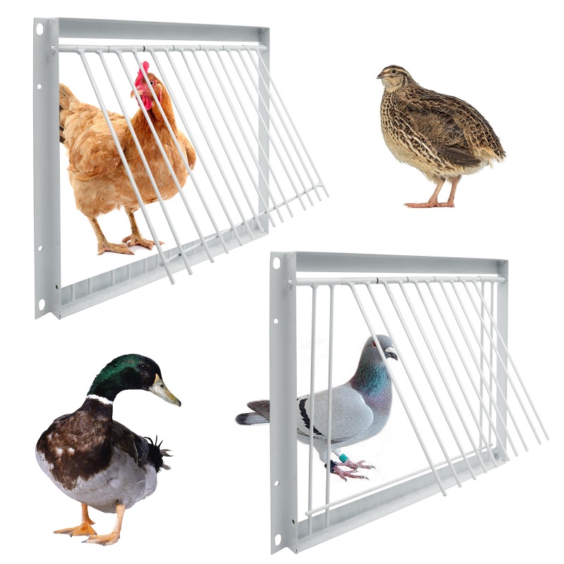 【Ready stock】Pigeon Door Metal Wire Bars Frame Entrance Trapping Doors ...