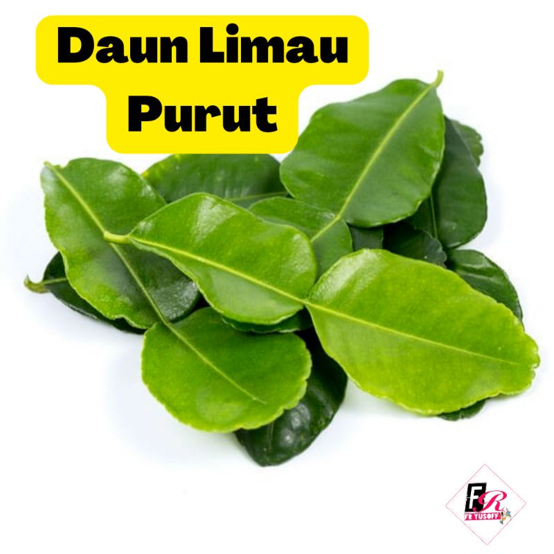 Daun Limau Purut (Fresh) | Shopee Malaysia