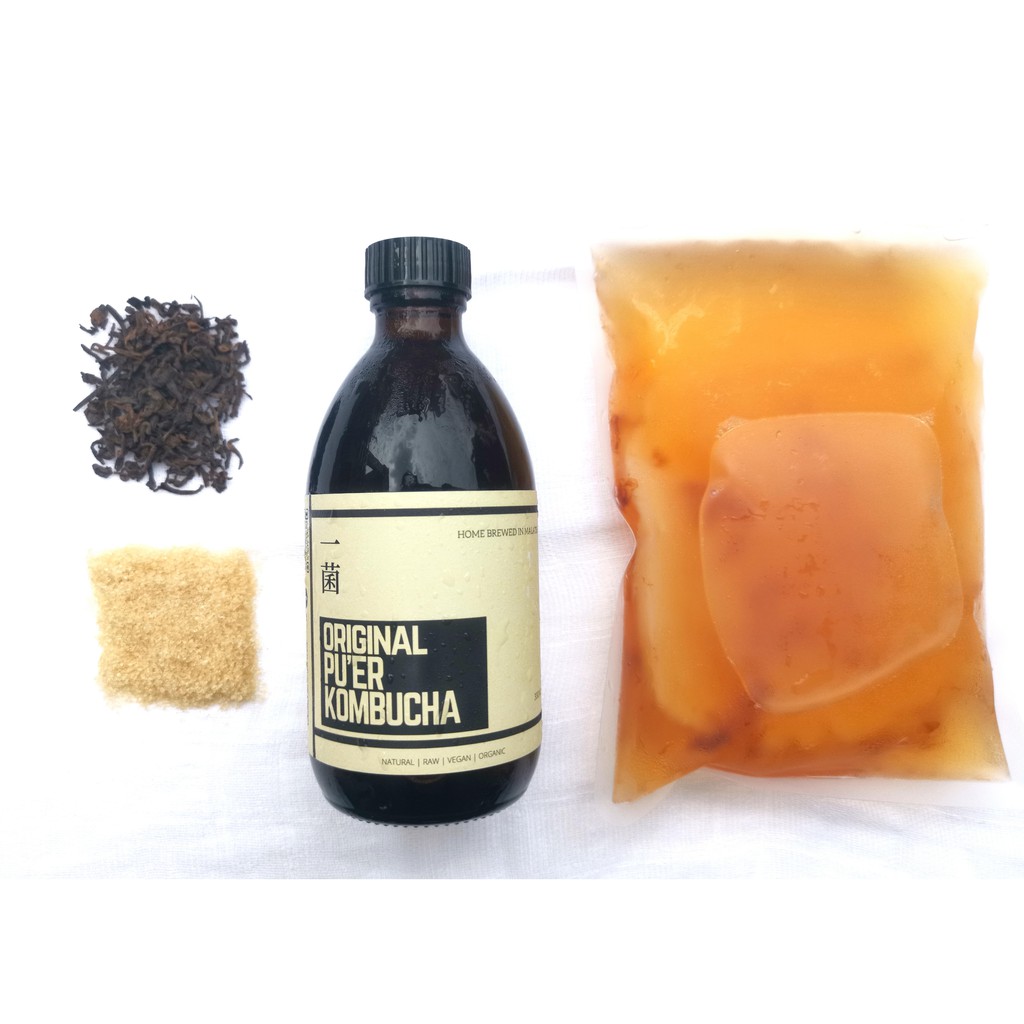 KOMBUCHA SCOBY | KOMBUCHA SCOBY STARTER KIT | Shopee Malaysia