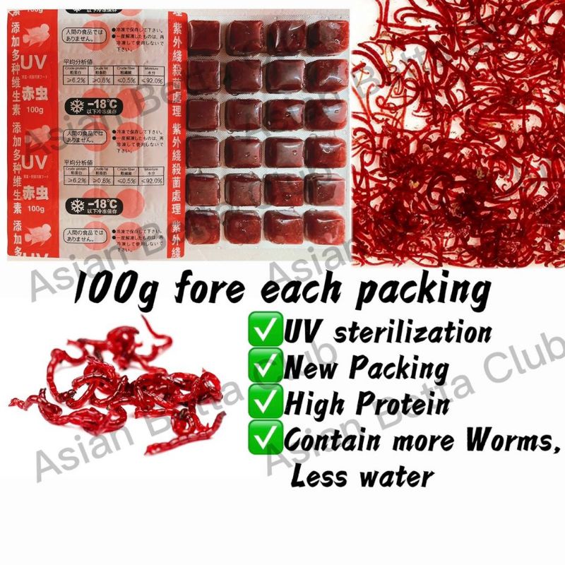 (5/10 Papan + foam box) Cacing Beku Frozen Bloodworm Cacing Darah ...