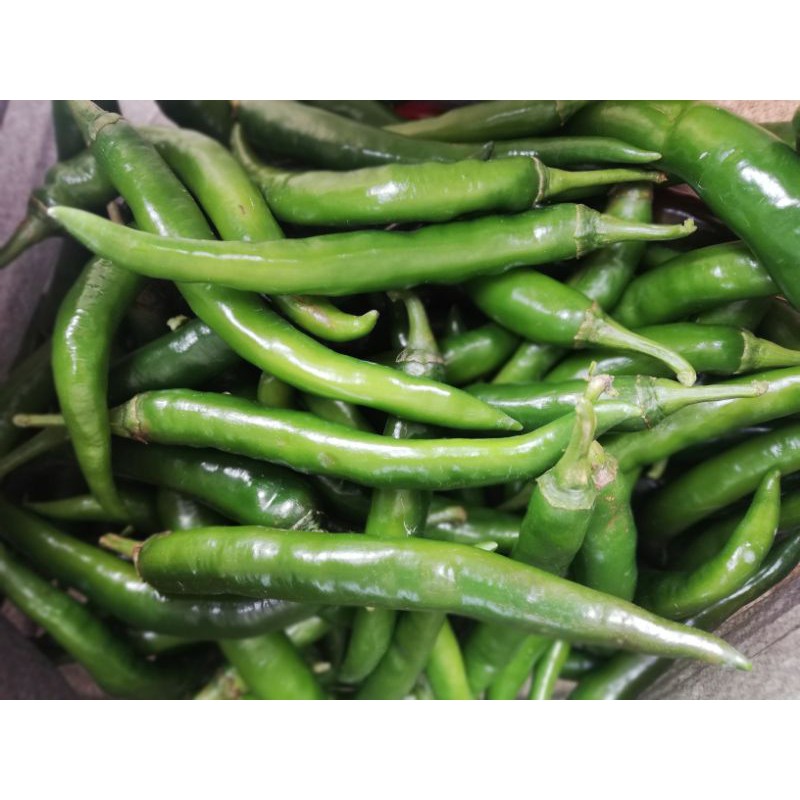 Cili Hijau Besar Segar 250g Fresh Green Chili Gred A Shopee Malaysia