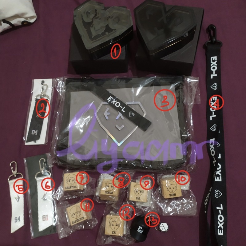 Ace kit exo Accessories case pouch strap keyreng lanyard postcard stamp