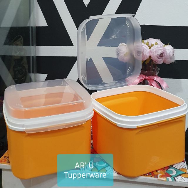 Tupperware Square Keeper lidded box