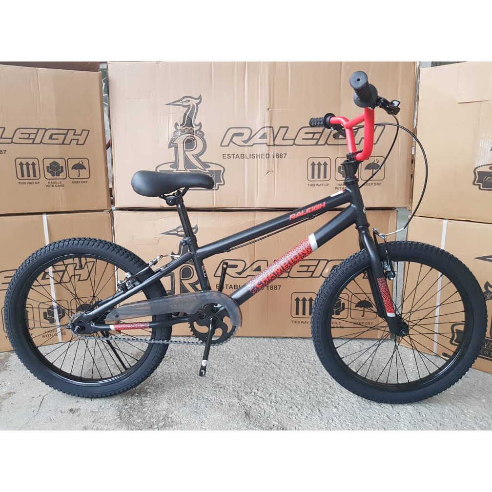 ORIGINAL Raleigh Champion BMX 20 READY STOCK Shopee Malaysia