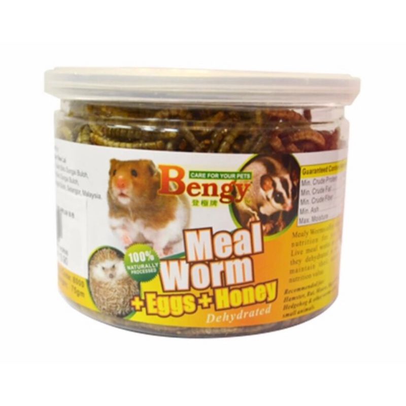 Bengy Meal Worm / Mealworm 75g (+Eggs+Honey)Hamster Food Snack Sugar
